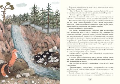Удивительное путешествие Нильса Хольгерссона с дикими гусями по Швеции. Лагерлёф С., производитель Нигма, ISBN 978-5-43350-764-7 № 5