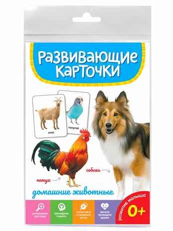 Домашние животные. Развивающие карточки, производитель Проф-Пресс , ISBN 467-0-15905-284-5 № 1