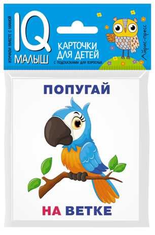 Посылка. Мини-комплект IQ-игр для развития пространственного мышления, производитель Айрис-пресс , ISBN 978-5-81127-959-3 № 7