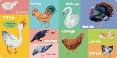 Книжки-картонки. 100 животных, производитель Клевер (Clever) , ISBN 978-5-00211-472-6 № 3