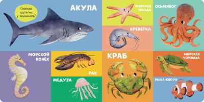 Книжки-картонки. 100 животных, производитель Клевер (Clever) , ISBN 978-5-00211-472-6 № 5