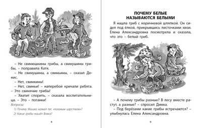 Лето на даче. Сборник рассказов. Крупные буквы. Короткие и простые тексты. Вопросы по содержанию., производитель Школьная Книга , ISBN 978-5-00013-246-3 № 3