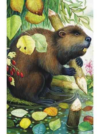Лесной Колобок - Колючий Бок. Бианки В. В., производитель АСТ , ISBN 978-5-17165-998-1 № 4