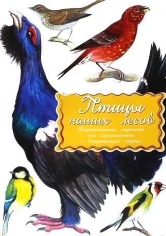 Дидактические карточки "Птицы наших лесов"  (в пакете), производитель Маленький Гений-Пресс , ISBN 460-7-05409-192-1 № 1