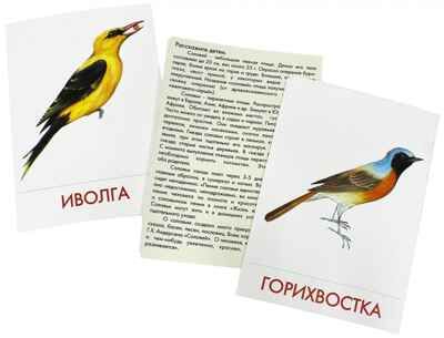 Дидактические карточки "Птицы наших лесов"  (в пакете), производитель Маленький Гений-Пресс , ISBN 460-7-05409-192-1 № 2