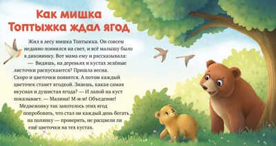 Любознательный малыш. Лесные малыши/Ульева Е., производитель Клевер (Clever) , ISBN 978-5-00211-171-8 № 3
