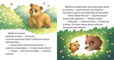 Любознательный малыш. Лесные малыши/Ульева Е., производитель Клевер (Clever) , ISBN 978-5-00211-171-8 № 4