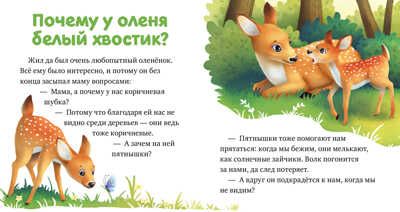 Любознательный малыш. Лесные малыши/Ульева Е., производитель Клевер (Clever) , ISBN 978-5-00211-171-8 № 6