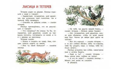 Прыжок. Рассказы и сказки. Читаем сами, производитель Вакоша , ISBN 978-5-00132-491-1 № 4