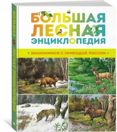Большая лесная энциклопедия. Знакомимся с природой России. Тихонов А. Энциклопедии, производитель Махаон , ISBN 978-5-38920-774-5 № 1