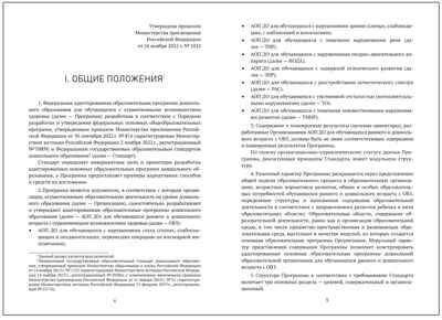 Федеральная адаптированная образовательная программа дошкольного образования для обучающихся с задержкой психического развития, производитель МОЗАИКА-СИНТЕЗ , ISBN 978-5-43154-516-0 № 2