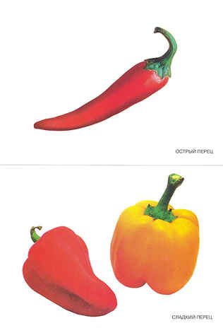 Овощи, производитель МОЗАИКА-СИНТЕЗ , ISBN 978-5-86775-115-9 № 1