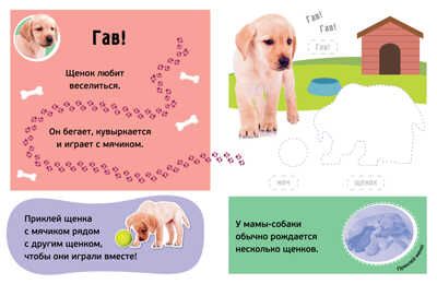Гав! Детёныши. Раннее развитие. 100 наклеек, производитель Махаон , ISBN 978-5-38916-060-6 № 2