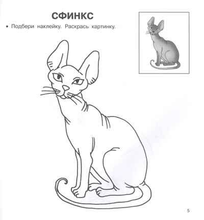Домашние любимцы. Двинина Л.В. Любимые раскраски с наклейками, производитель АСТ , ISBN 978-5-17120-238-5 № 3