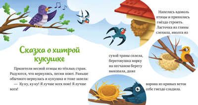 Любознательный малыш. Что бывает весной?/Ульева Е., производитель Клевер (Clever) , ISBN 978-5-00211-187-9 № 6