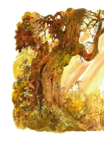 Жизнь и приключения Санта-Клауса. Илл. В. Челака, производитель АСТ , ISBN 978-5-17170-269-4 № 5