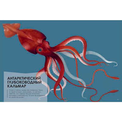 Животные-гиганты, производитель ЭНАС-КНИГА , ISBN 978-5-00198-226-5 № 4