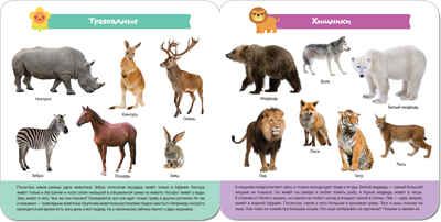  Мир животных, производитель МОЗАИКА kids , ISBN 978-5-43151-430-2 № 3