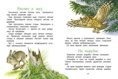 Рассказы о природе. Соколов-Микитов И. С. Внеклассное чтение, производитель Стрекоза , ISBN 978-5-99514-652-0 № 3