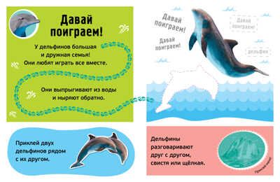Буль! Море-океан. Раннее развитие. 100 наклеек, производитель Махаон , ISBN 978-5-38916-058-3 № 2