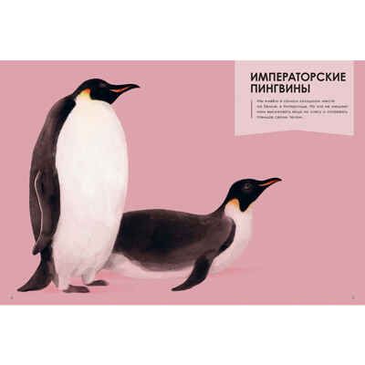 Лучшие родители, производитель ЭНАС-КНИГА , ISBN 978-5-00198-228-9 № 3