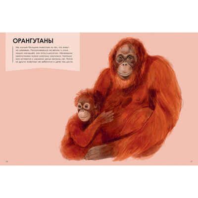 Лучшие родители, производитель ЭНАС-КНИГА , ISBN 978-5-00198-228-9 № 5