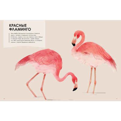 Лучшие родители, производитель ЭНАС-КНИГА , ISBN 978-5-00198-228-9 № 8