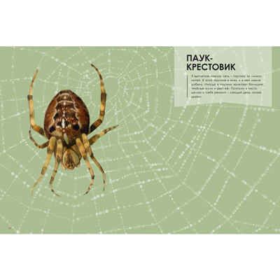 Мастера-строители, производитель ЭНАС-КНИГА , ISBN 978-5-00198-229-6 № 4