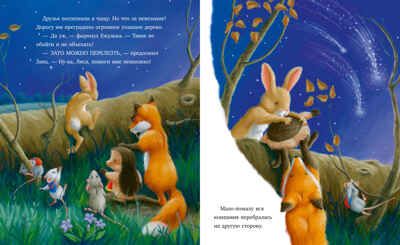 Приключения Ежульки (мягкая обложка). Самая звёздная ночь/Батлер М., производитель Клевер (Clever) , ISBN 978-5-00211-995-0 № 2