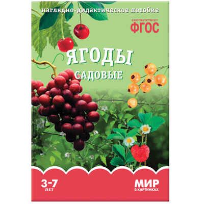 ФГОС Мир в картинках. Ягоды садовые., производитель МОЗАИКА-СИНТЕЗ , ISBN 978-5-43150-586-7 № 1