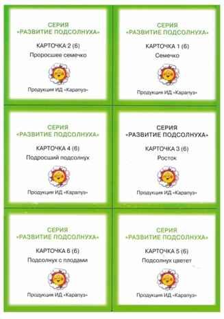 Развитие. (Серия: Домашняя школа Монтессори), арт.00-00007424, производитель ИД "Карапуз", ISBN 978-5-97150-408-5 № 4