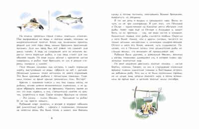 Заяц в море. Рассказы о Северной Камчатке. Николай Семченко, производитель Настя и Никита , ISBN 978-5-90768-489-8 № 5