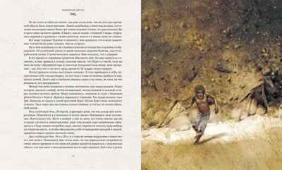 Робинзон Крузо. Дефо Д. Книги с иллюстрациями Роберта Ингпена, производитель Махаон , ISBN 978-5-38919-394-9 № 6