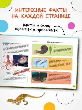 Книги с подвижными элементами, Набор из 2 книг (Рентгенорама), производитель МОЗАИКА kids , ISBN 978-5-43154-798-0 № 5