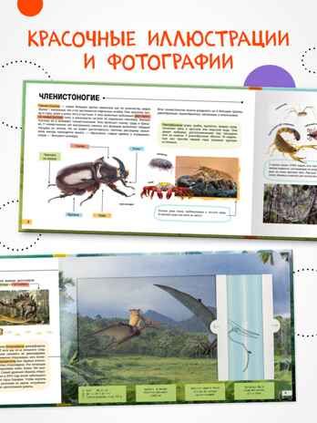 Книги с подвижными элементами, Набор из 2 книг (Рентгенорама), производитель МОЗАИКА kids , ISBN 978-5-43154-798-0 № 6