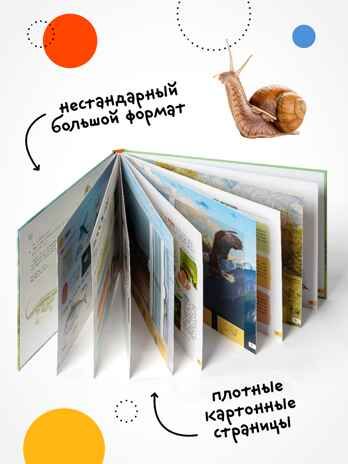 Книги с подвижными элементами, Набор из 2 книг (Рентгенорама), производитель МОЗАИКА kids , ISBN 978-5-43154-798-0 № 8