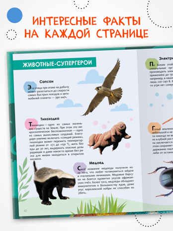 «Животные» (серия «Детская энциклопедия»), производитель МОЗАИКА kids , ISBN 978-5-43154-323-4 № 2
