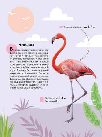 «Животные» (серия «Детская энциклопедия»), производитель МОЗАИКА kids , ISBN 978-5-43154-323-4 № 7