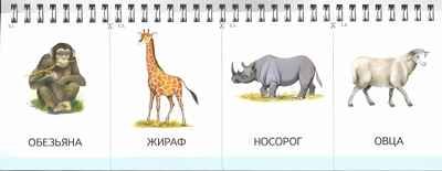 Картинки на пружинке. Выпуск 2. Мир животных. Дидактический материал по развитию логического мышления и связной речи у детей. Арбекова Н.Е., производитель Гном , ISBN 978-5-90690-377-8 № 3