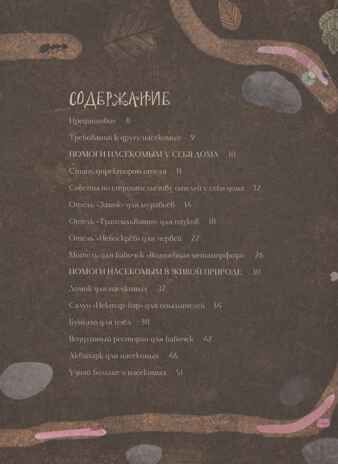 Город насекомых. Торп К., производитель АСТ , ISBN 978-5-17162-222-0 № 2