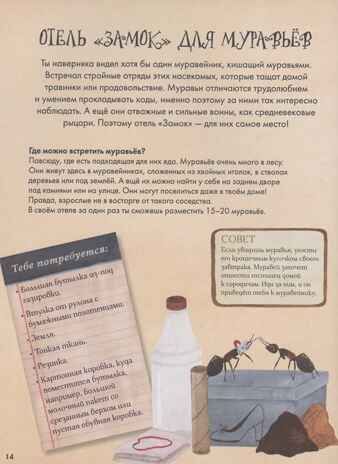 Город насекомых. Торп К., производитель АСТ , ISBN 978-5-17162-222-0 № 8