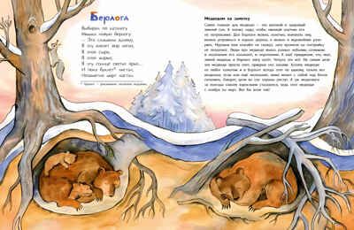 Гнёзда, дупла и берлоги. Наталия Волкова, Анна Игнатова, производитель Настя и Никита , ISBN 978-5-90784-284-7 № 3
