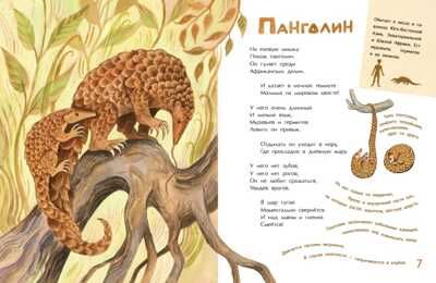 Необыкновенные звери. Дарья Герасимова, производитель Настя и Никита , ISBN 978-5-90784-285-4 № 2