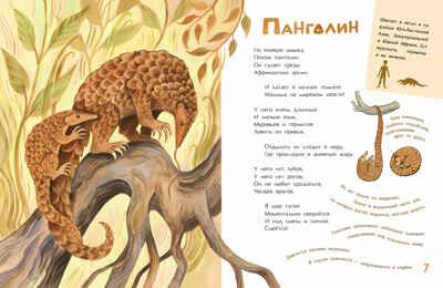Необыкновенные звери. Дарья Герасимова, производитель Настя и Никита , ISBN 978-5-90784-285-4 № 6