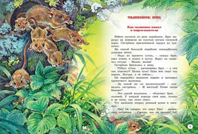 Большая книга рассказов. Бианки В.В. Большая книга, производитель Махаон , ISBN 978-5-38914-205-3 № 2