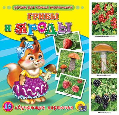 Обучающие карточки "Грибы и ягоды", производитель Проф-Пресс , ISBN 978-5-37805-680-4 № 1