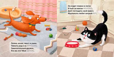 Книжки - картонки (бол). Домашние животные. Загадки-рифмы, производитель Робинс , ISBN 978-5-43660-704-7 № 2
