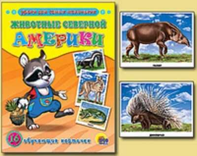 Обучающие карточки. Животные Северной Америки, производитель Проф-Пресс , ISBN 978-5-37803-077-4 № 1
