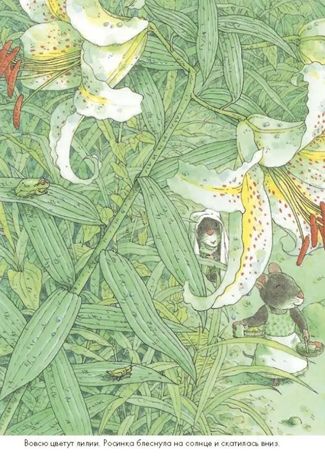 Стирка. Ивамура Кадзуо. 14 лесных мышей, производитель Самокат , ISBN 978-5-91759-695-2 № 4