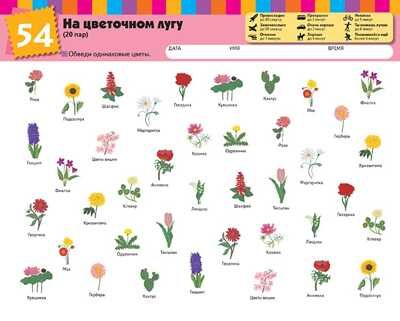 Kumon. Найди пару. Растения и животные. Уровень 1, производитель Манн, Иванов и Фербер , ISBN 978-5-00146-858-5 № 5